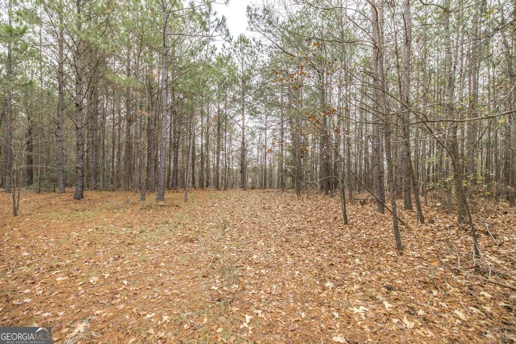 101 Mission Farm Road Gordon, GA 31031 - Photo 11 of 29