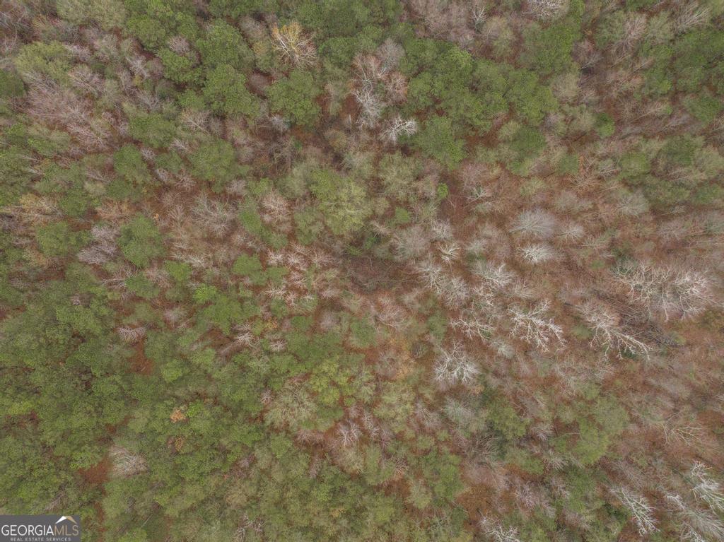 101 Mission Farm Road Gordon, GA 31031 - Photo 22 of 29