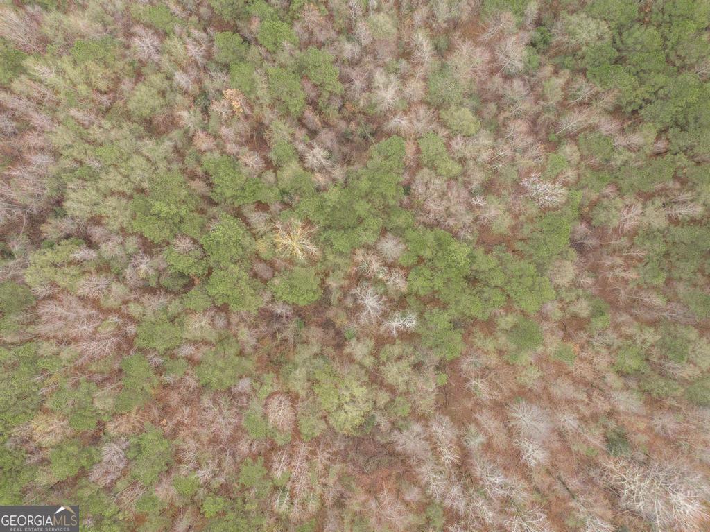 101 Mission Farm Road Gordon, GA 31031 - Photo 23 of 29