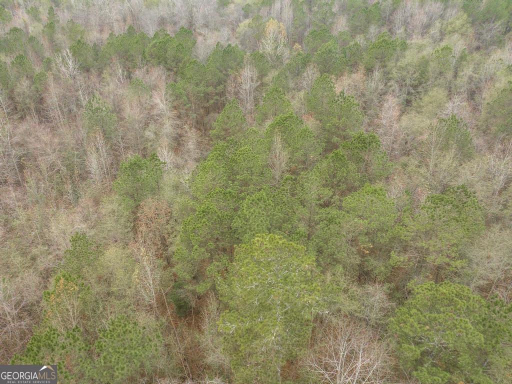 101 Mission Farm Road Gordon, GA 31031 - Photo 25 of 29