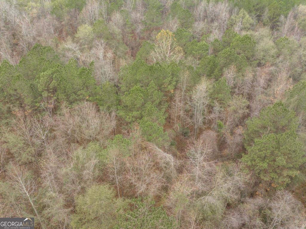 101 Mission Farm Road Gordon, GA 31031 - Photo 26 of 29