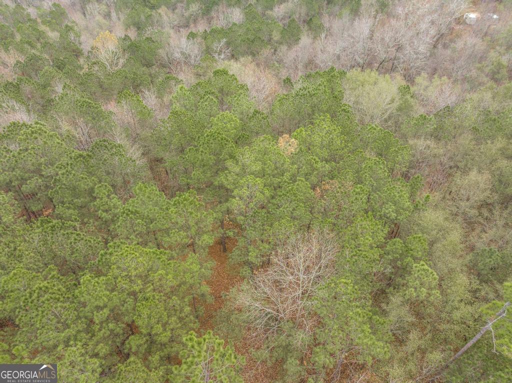 101 Mission Farm Road Gordon, GA 31031 - Photo 28 of 29