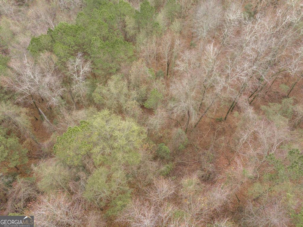 101 Mission Farm Road Gordon, GA 31031 - Photo 29 of 29