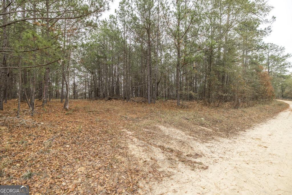 101 Mission Farm Road Gordon, GA 31031 - Photo 4 of 29 Entrance