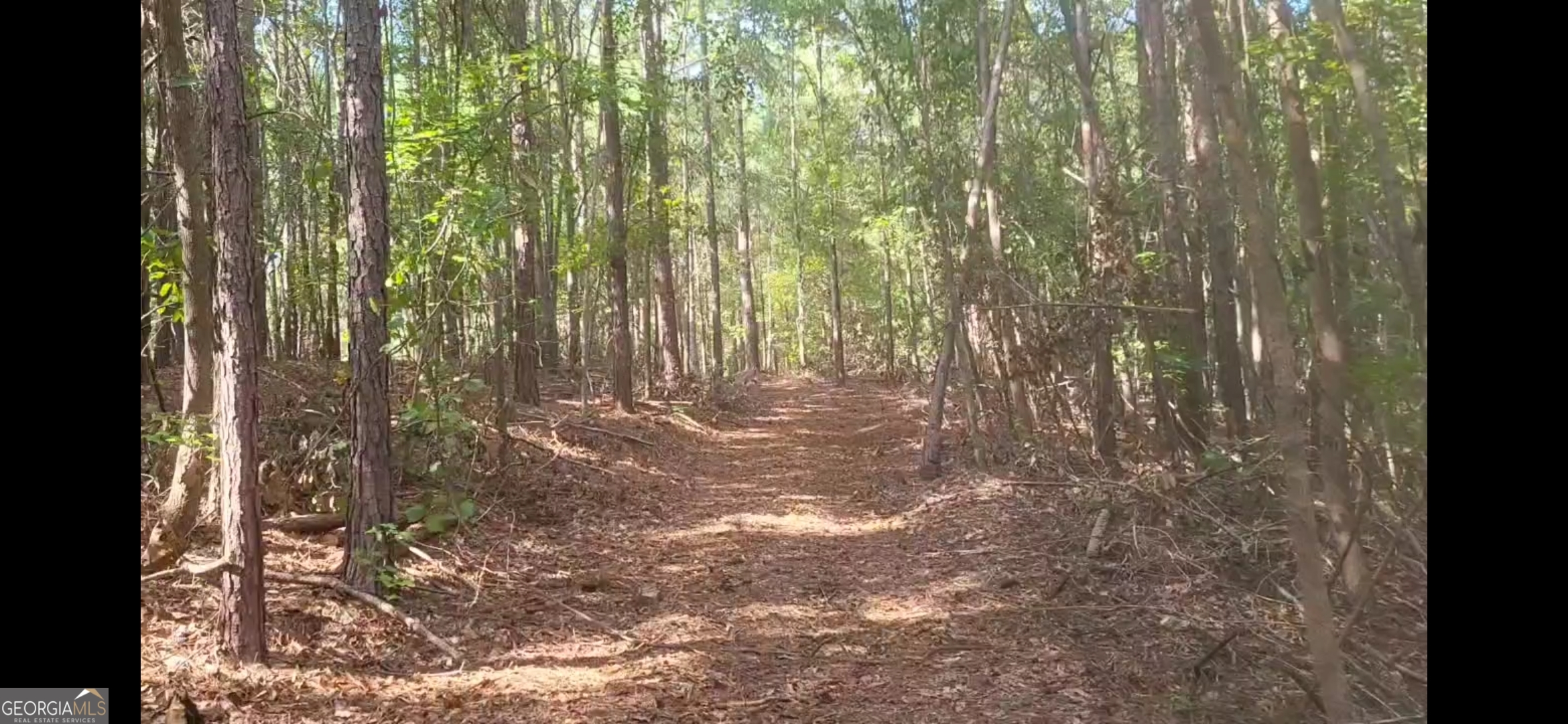 101 Mission Farm Road Gordon, GA 31031 - Photo 5 of 29