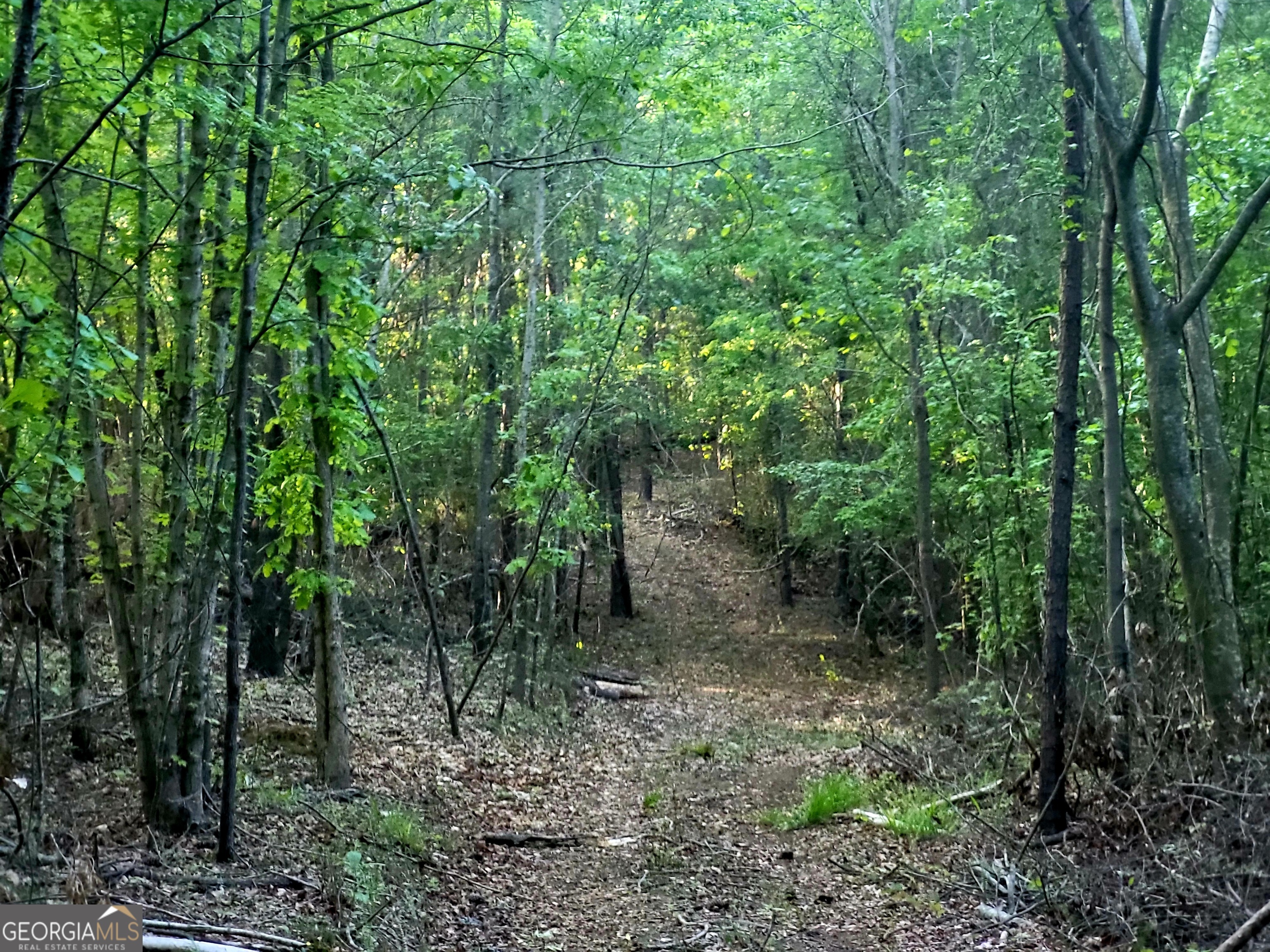 101 Mission Farm Road Gordon, GA 31031 - Photo 7 of 29