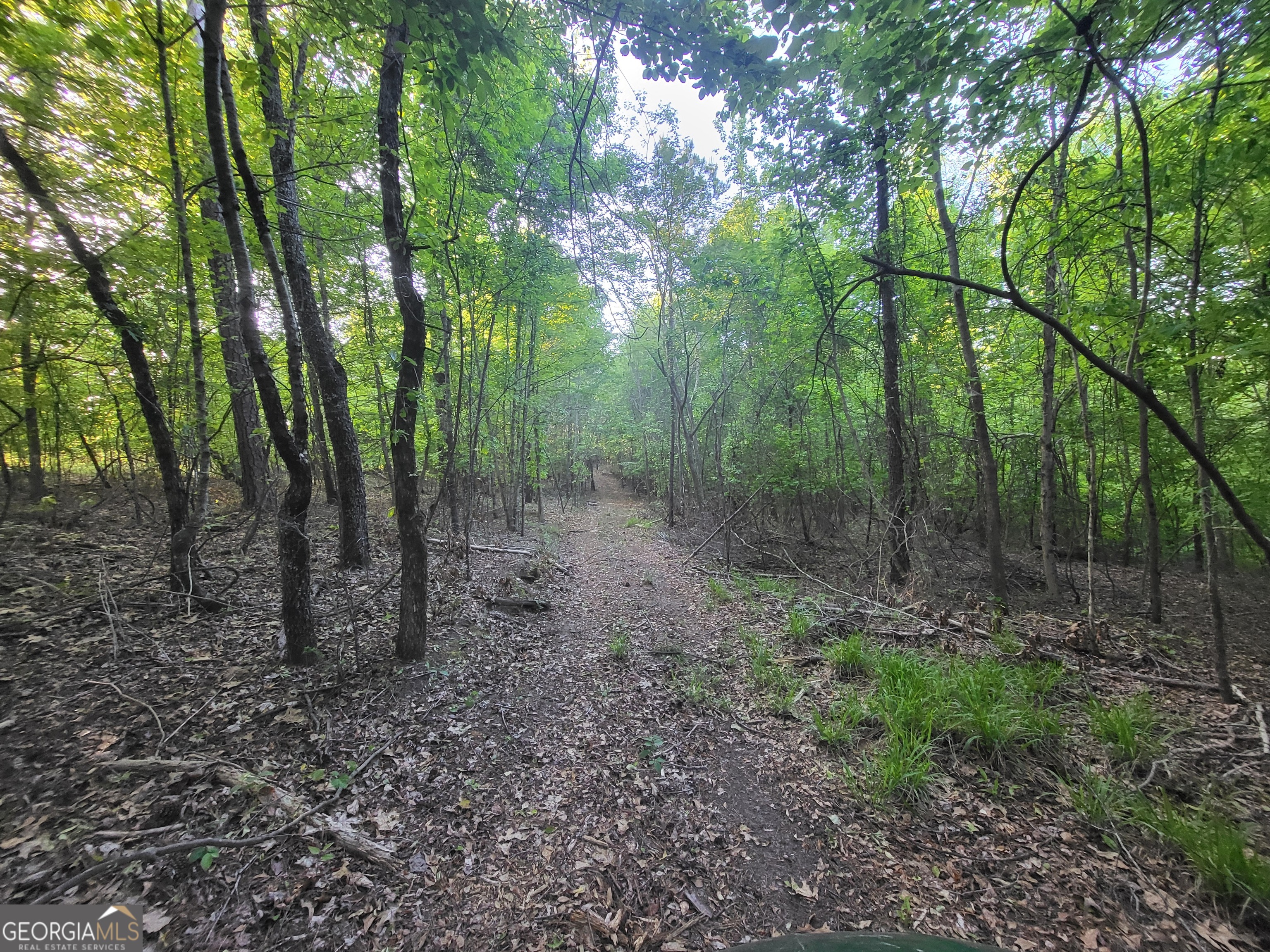 101 Mission Farm Road Gordon, GA 31031 - Photo 8 of 29