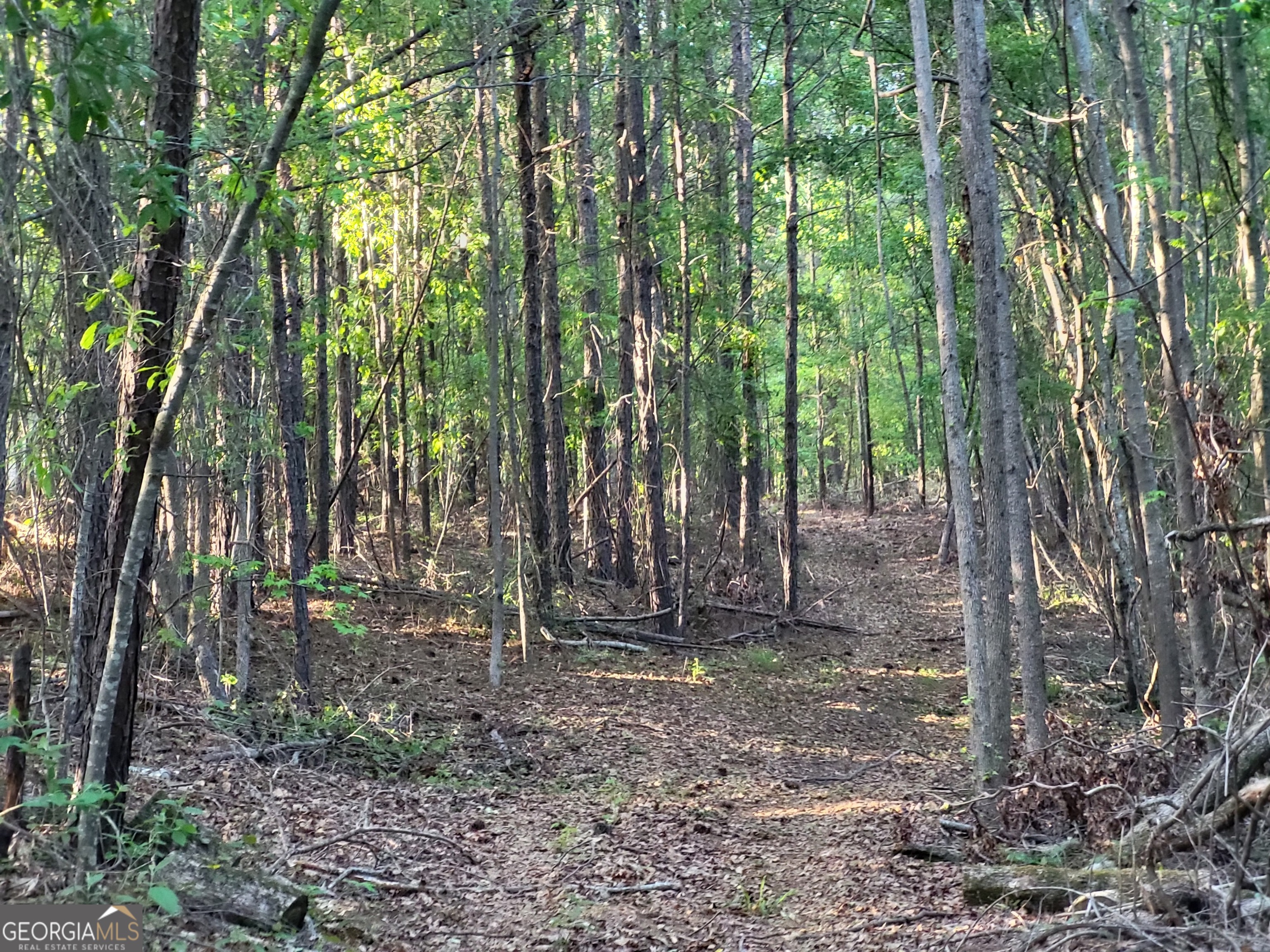 101 Mission Farm Road Gordon, GA 31031 - Photo 9 of 29