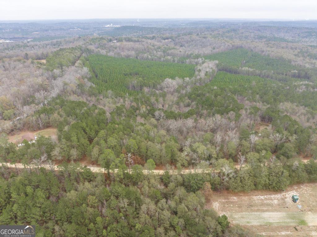 101 Mission Farm Road Gordon, GA 31031 - Photo 10 of 29