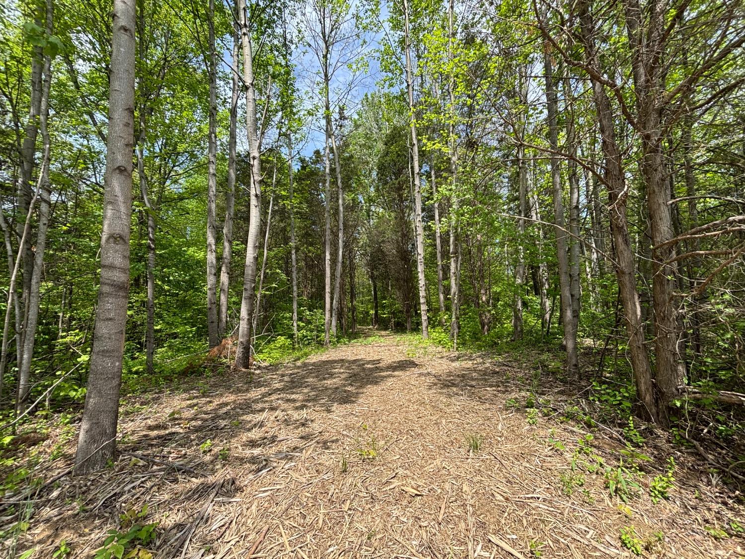 0 North Delaware Road Milan, IN 47031 - Photo 1 of 21