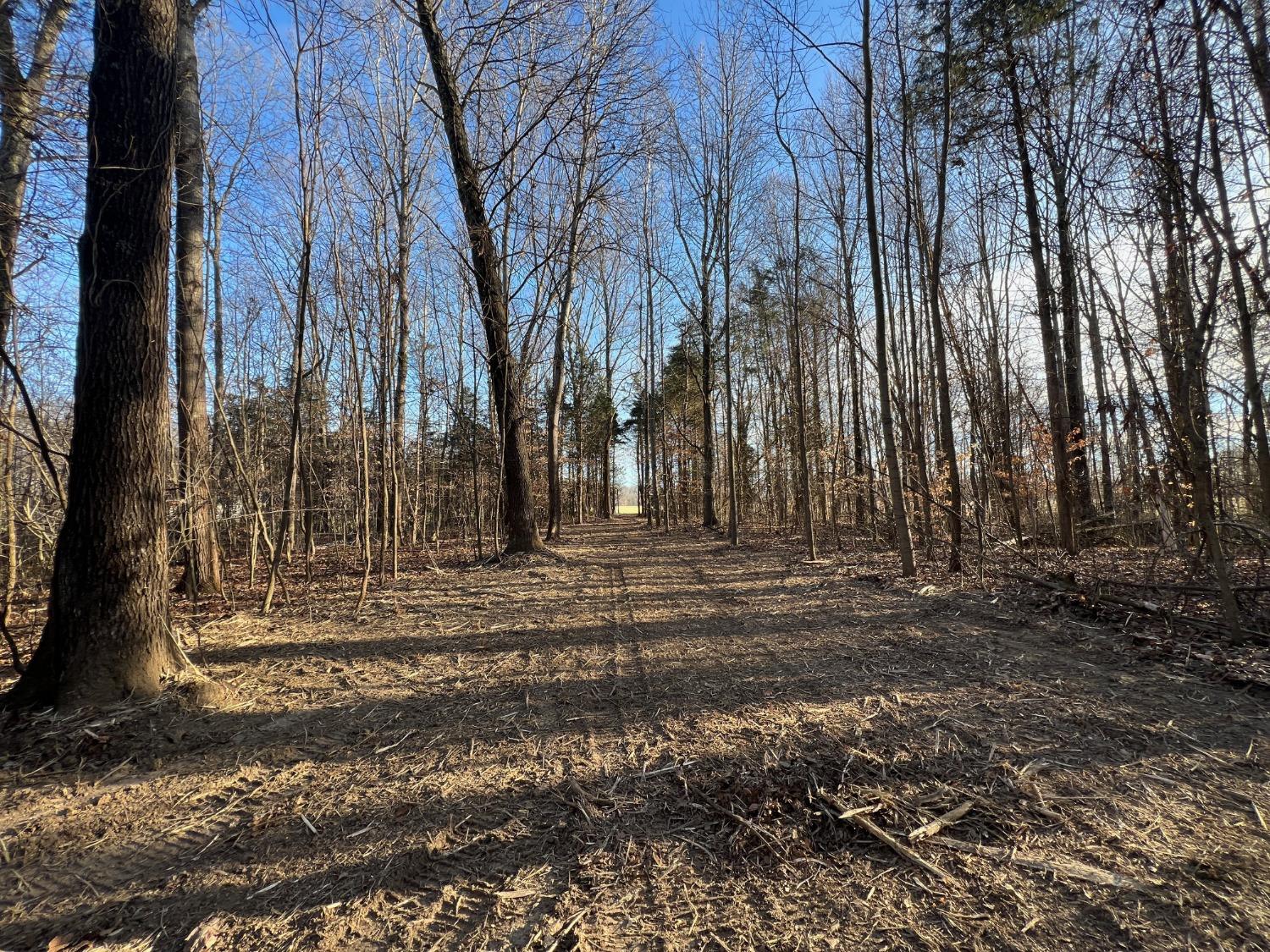 0 North Delaware Road Milan, IN 47031 - Photo 11 of 21