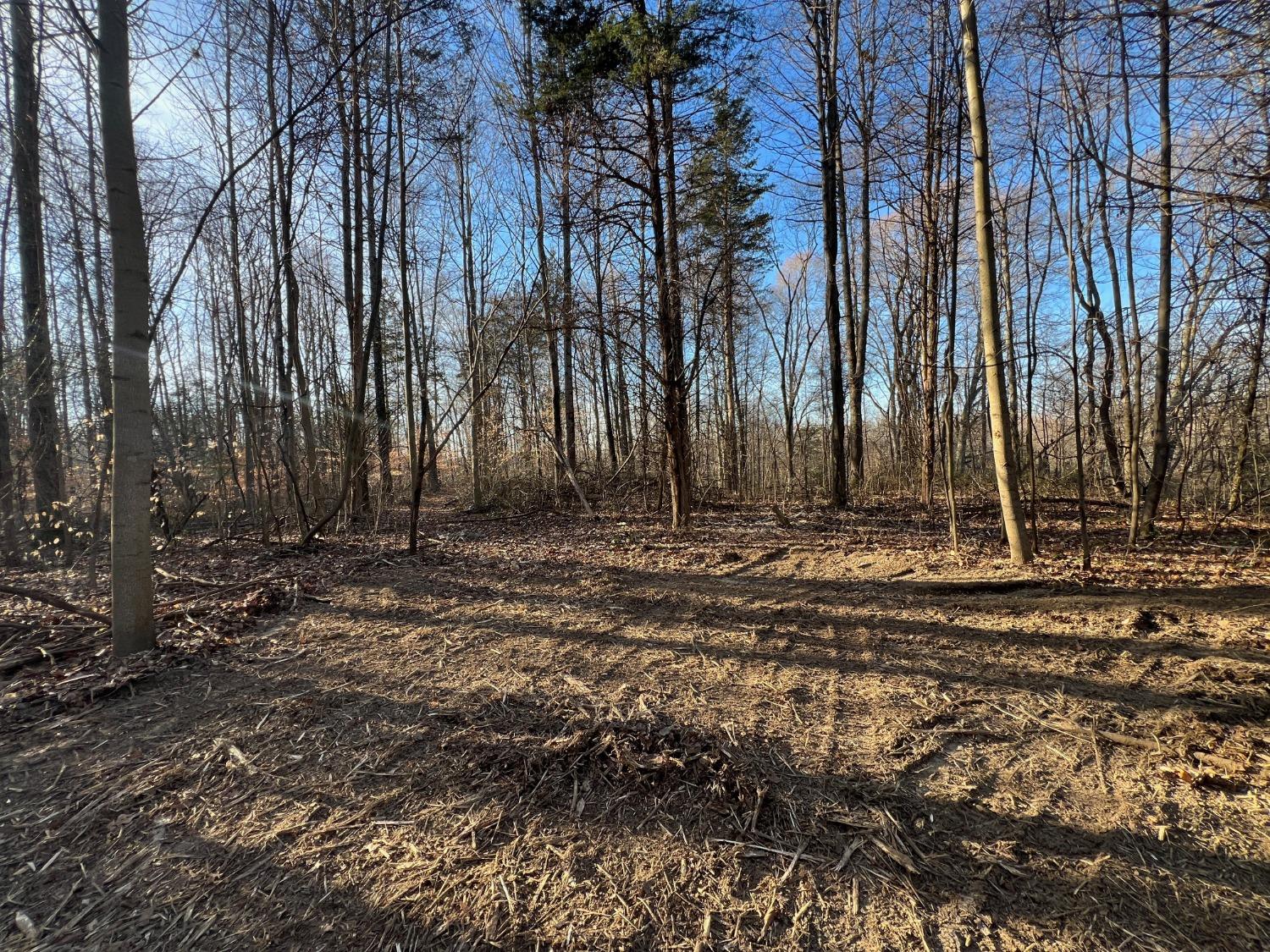 0 North Delaware Road Milan, IN 47031 - Photo 12 of 21