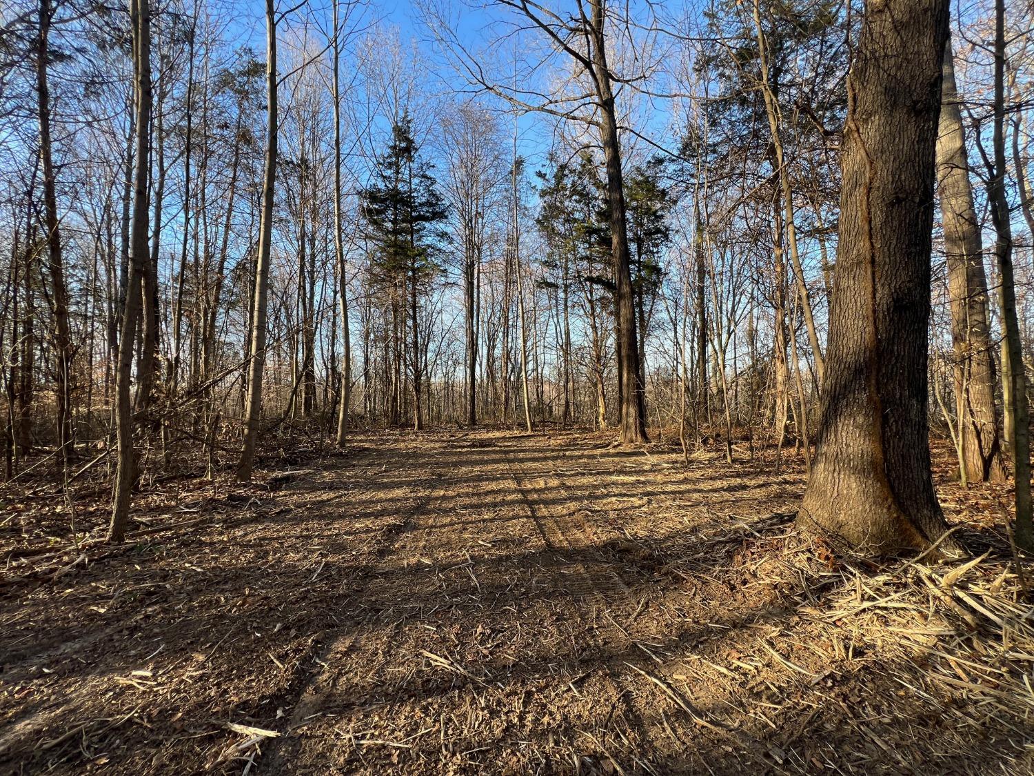 0 North Delaware Road Milan, IN 47031 - Photo 13 of 21