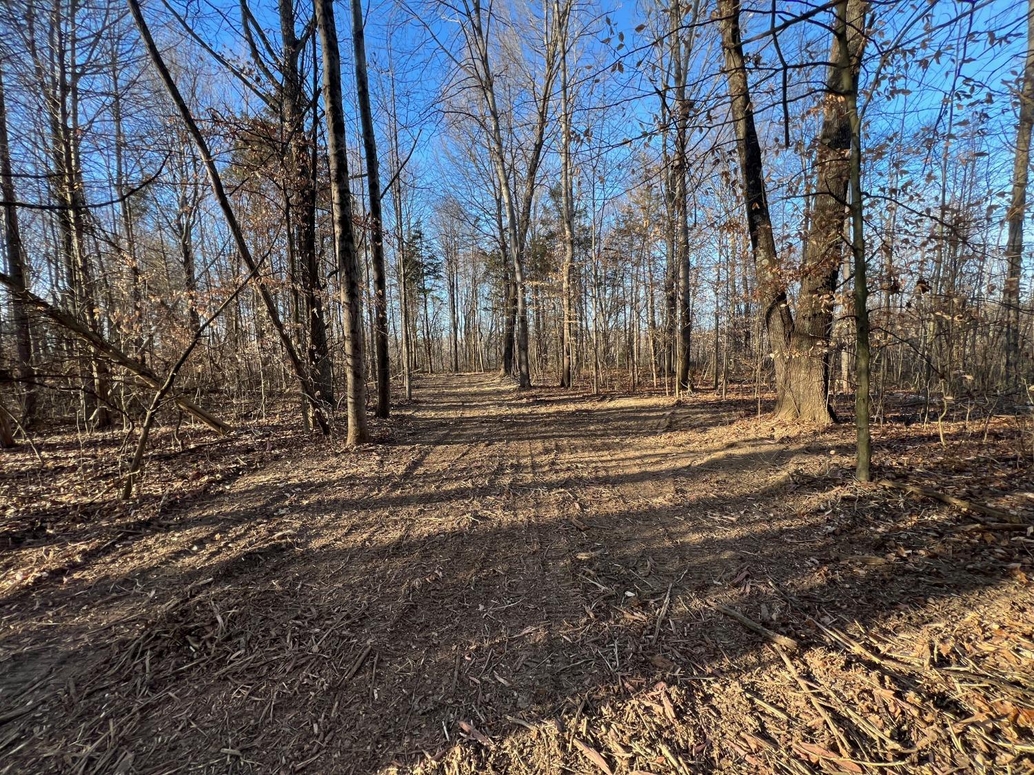 0 North Delaware Road Milan, IN 47031 - Photo 14 of 21