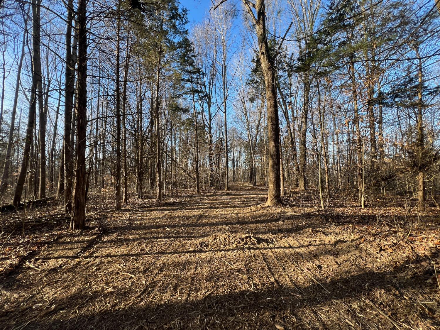 0 North Delaware Road Milan, IN 47031 - Photo 15 of 21