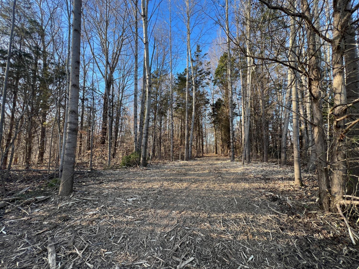 0 North Delaware Road Milan, IN 47031 - Photo 16 of 21