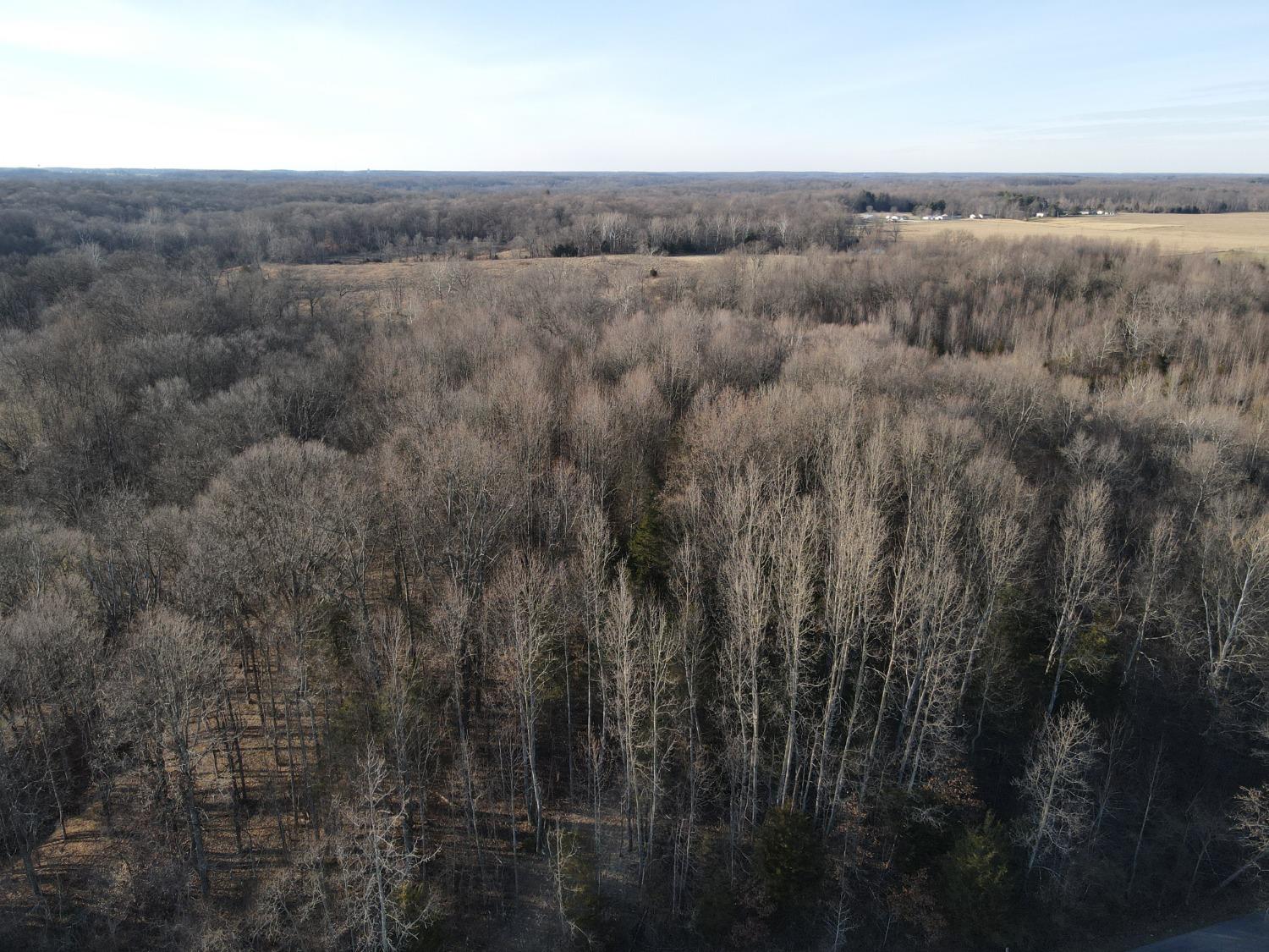 0 North Delaware Road Milan, IN 47031 - Photo 18 of 21