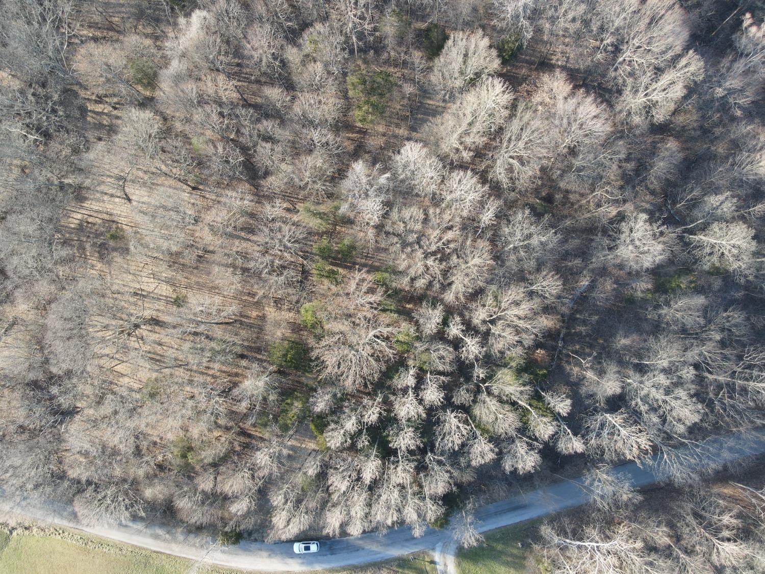 0 North Delaware Road Milan, IN 47031 - Photo 19 of 21