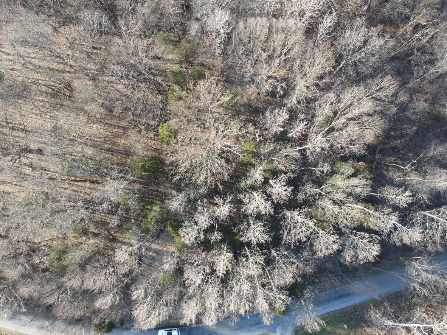 0 North Delaware Road Milan, IN 47031 - Photo 20 of 21