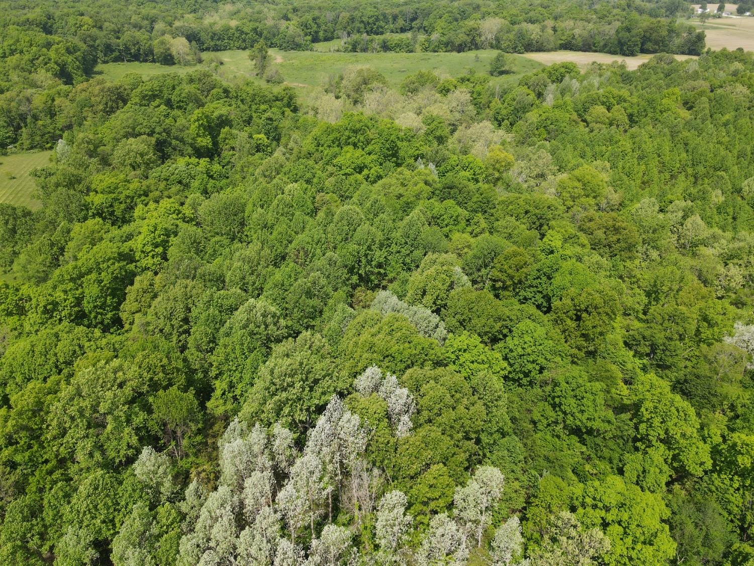 0 North Delaware Road Milan, IN 47031 - Photo 2 of 21