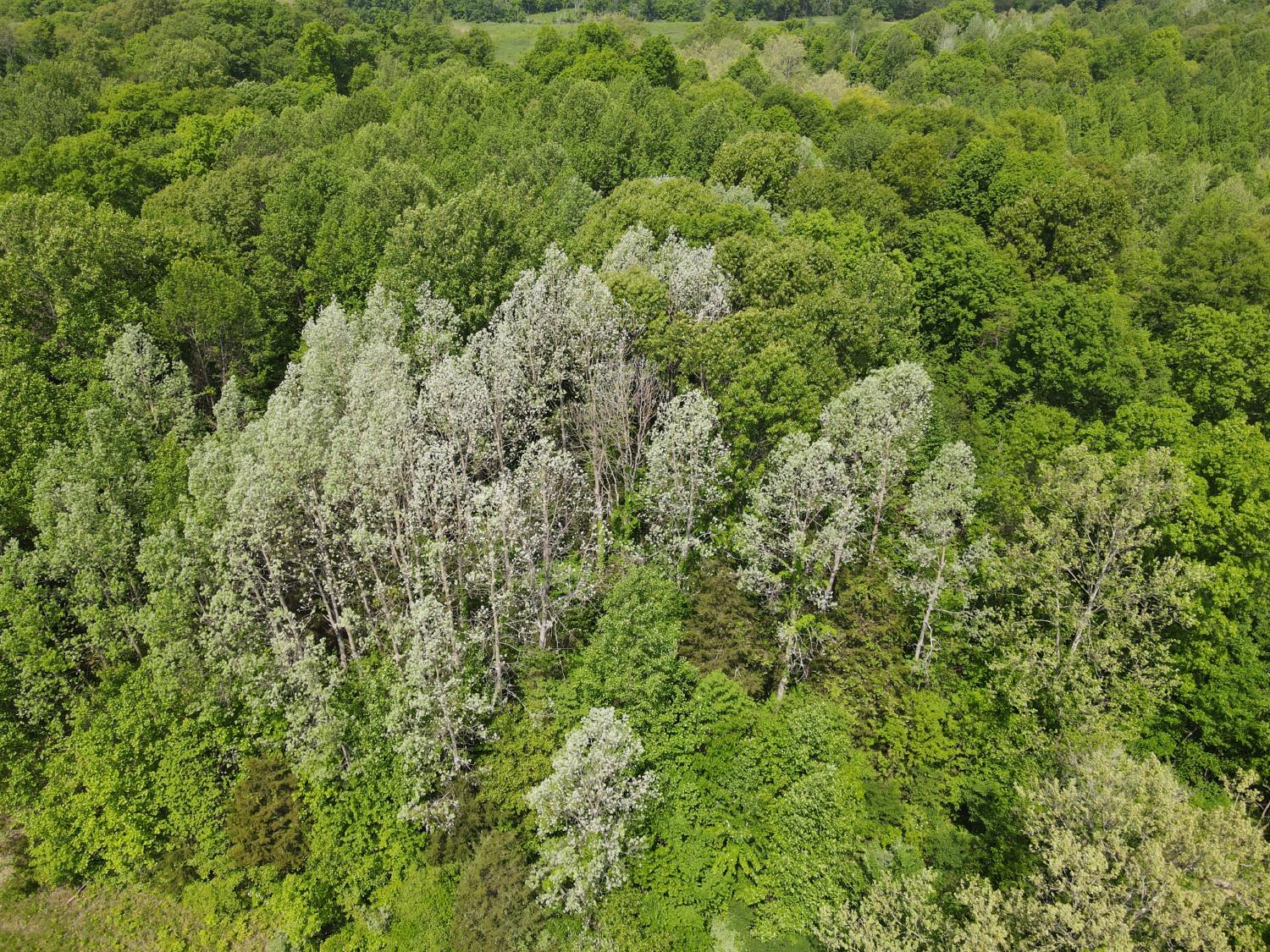 0 North Delaware Road Milan, IN 47031 - Photo 21 of 21