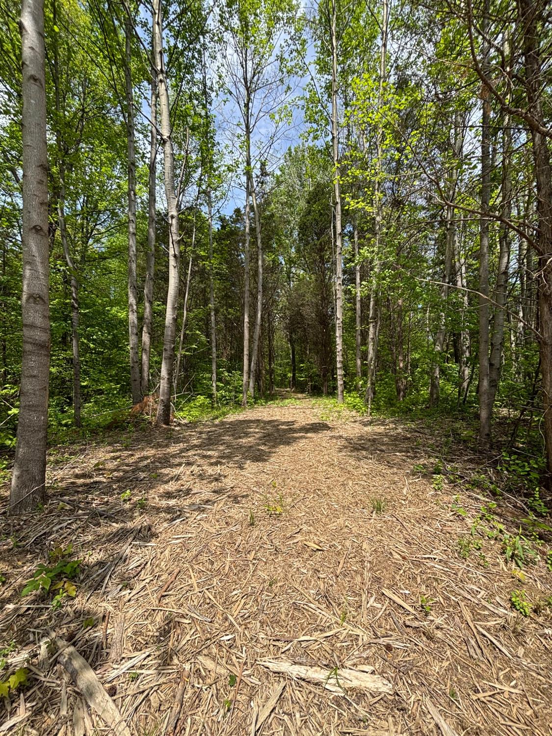 0 North Delaware Road Milan, IN 47031 - Photo 3 of 21