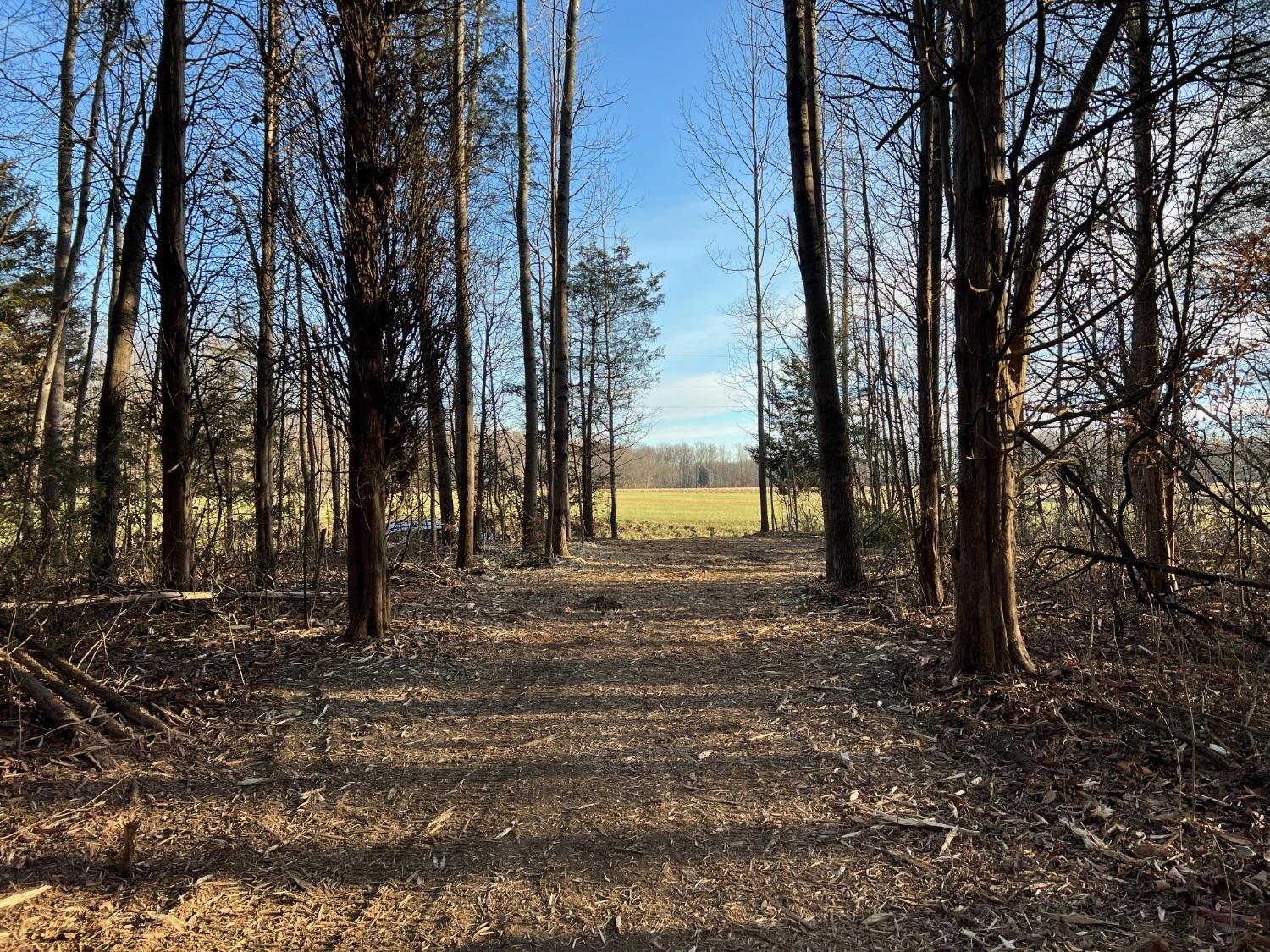 0 North Delaware Road Milan, IN 47031 - Photo 5 of 21