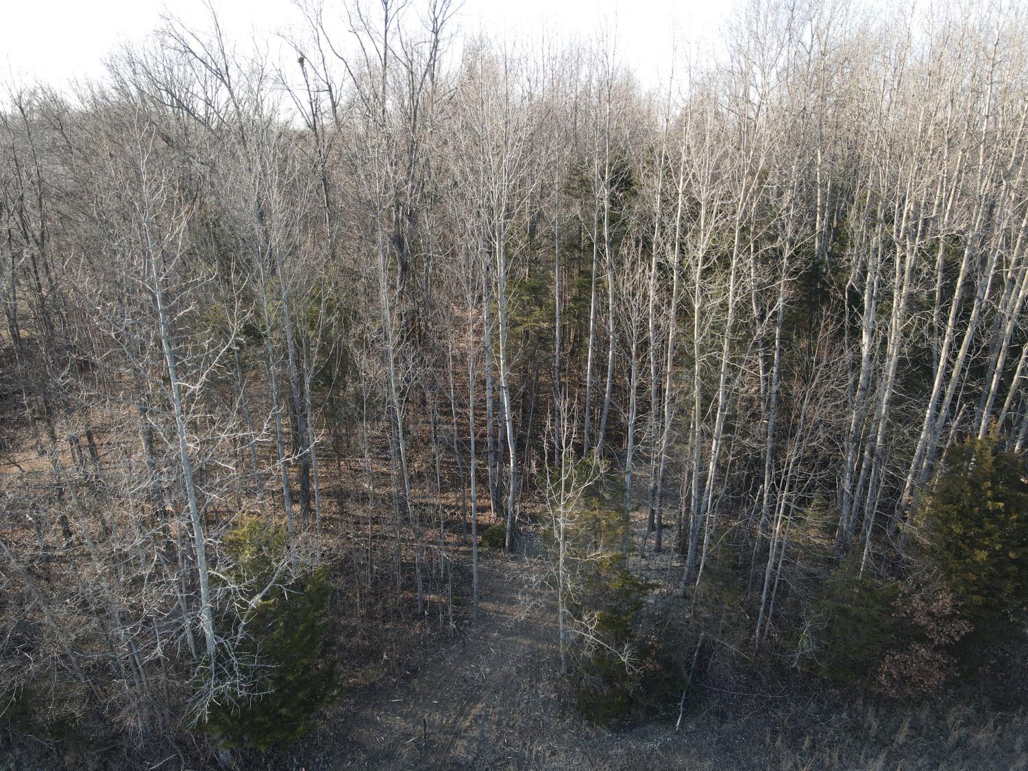 0 North Delaware Road Milan, IN 47031 - Photo 6 of 21