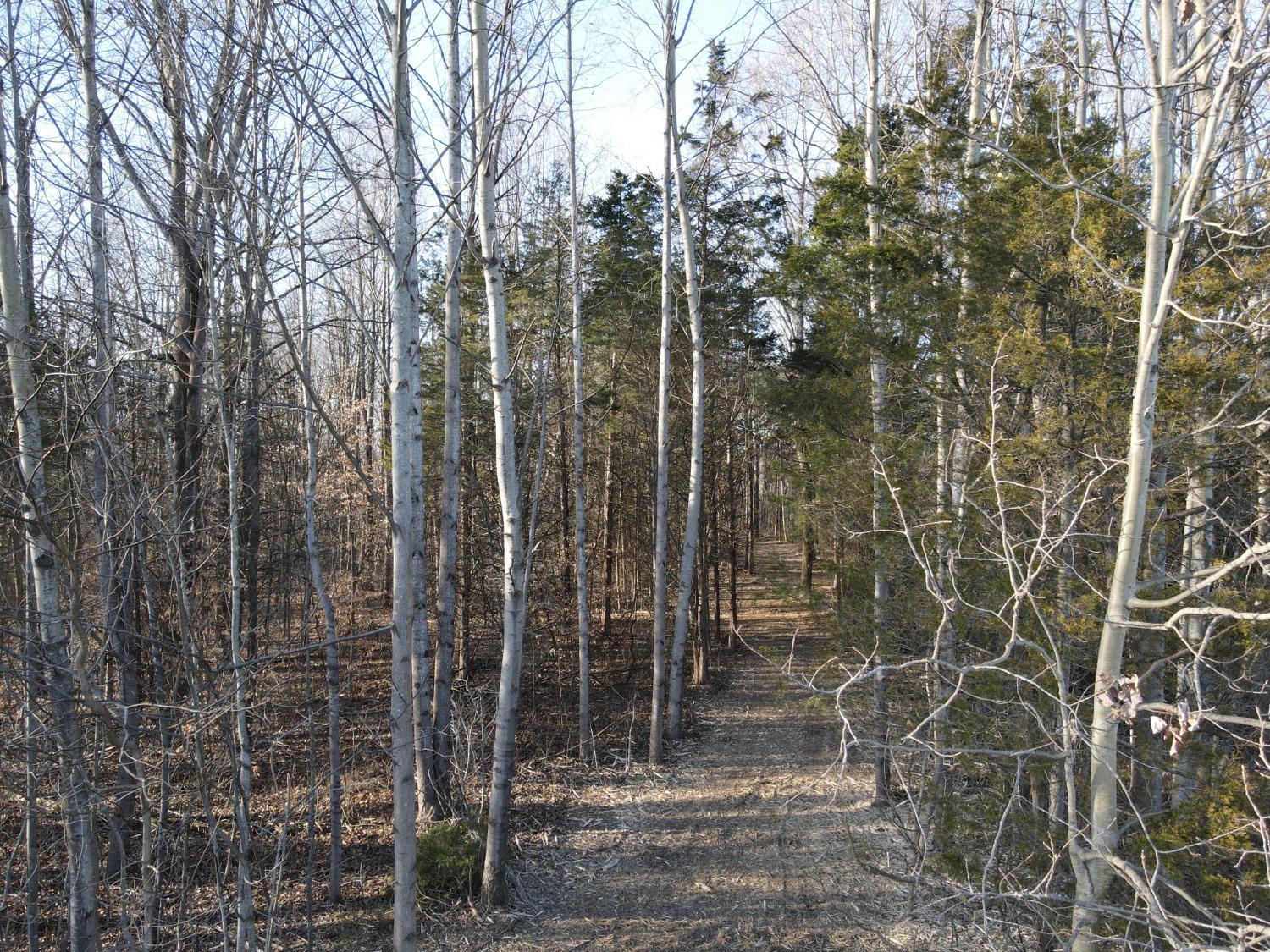 0 North Delaware Road Milan, IN 47031 - Photo 7 of 21