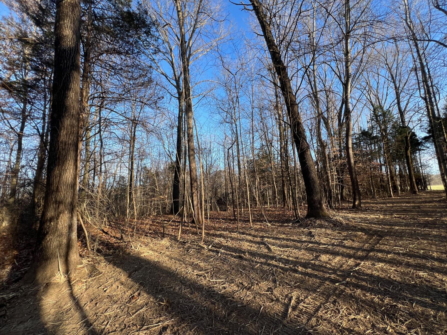 0 North Delaware Road Milan, IN 47031 - Photo 8 of 21