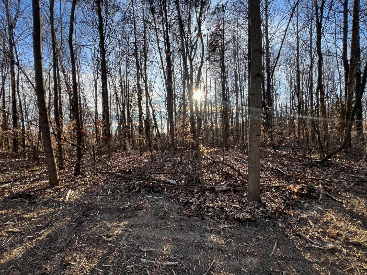 0 North Delaware Road Milan, IN 47031 - Photo 9 of 21