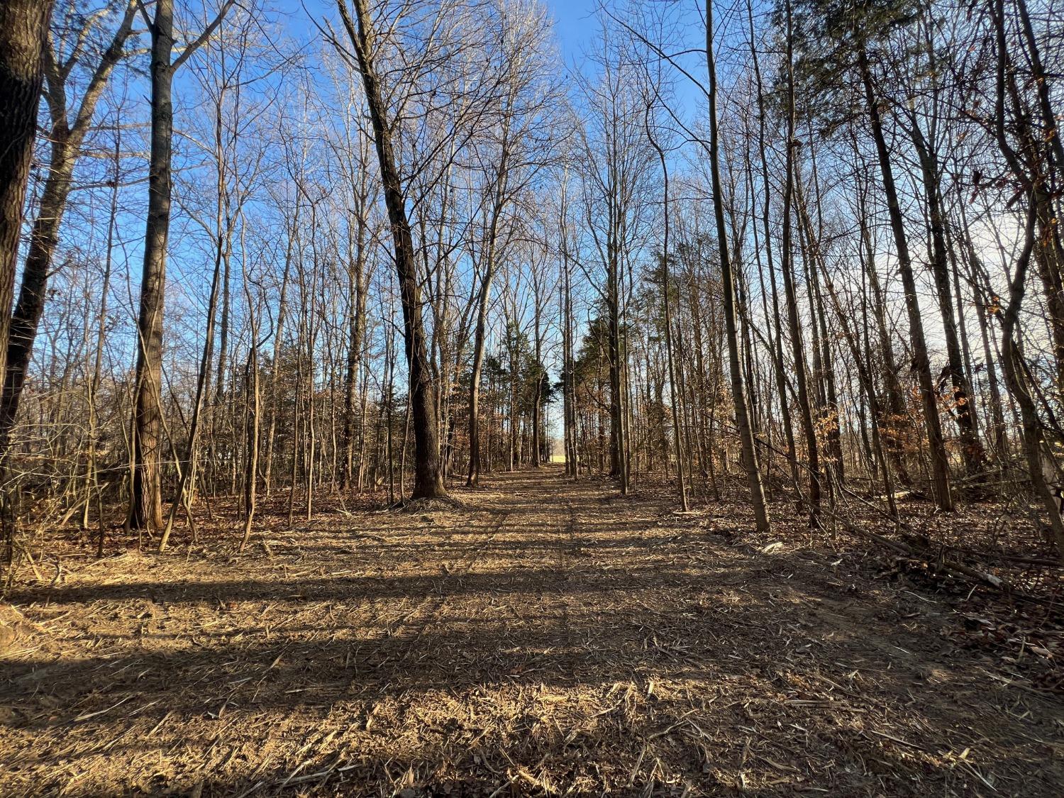 0 North Delaware Road Milan, IN 47031 - Photo 10 of 21