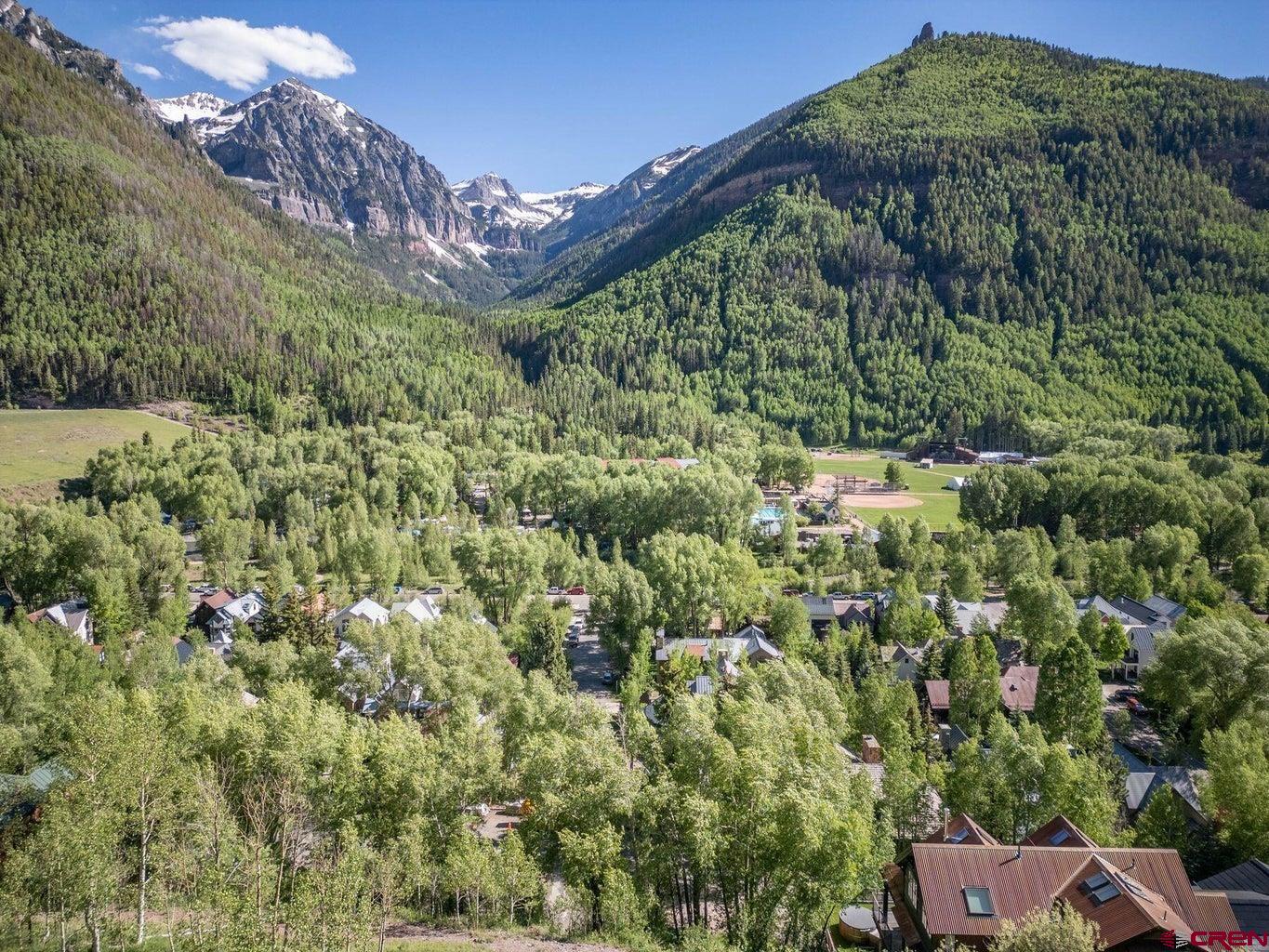 Lot C2 Pandora Avenue Telluride, CO 81435 - Photo 4 of 5 a view of a yard with plants and large trees