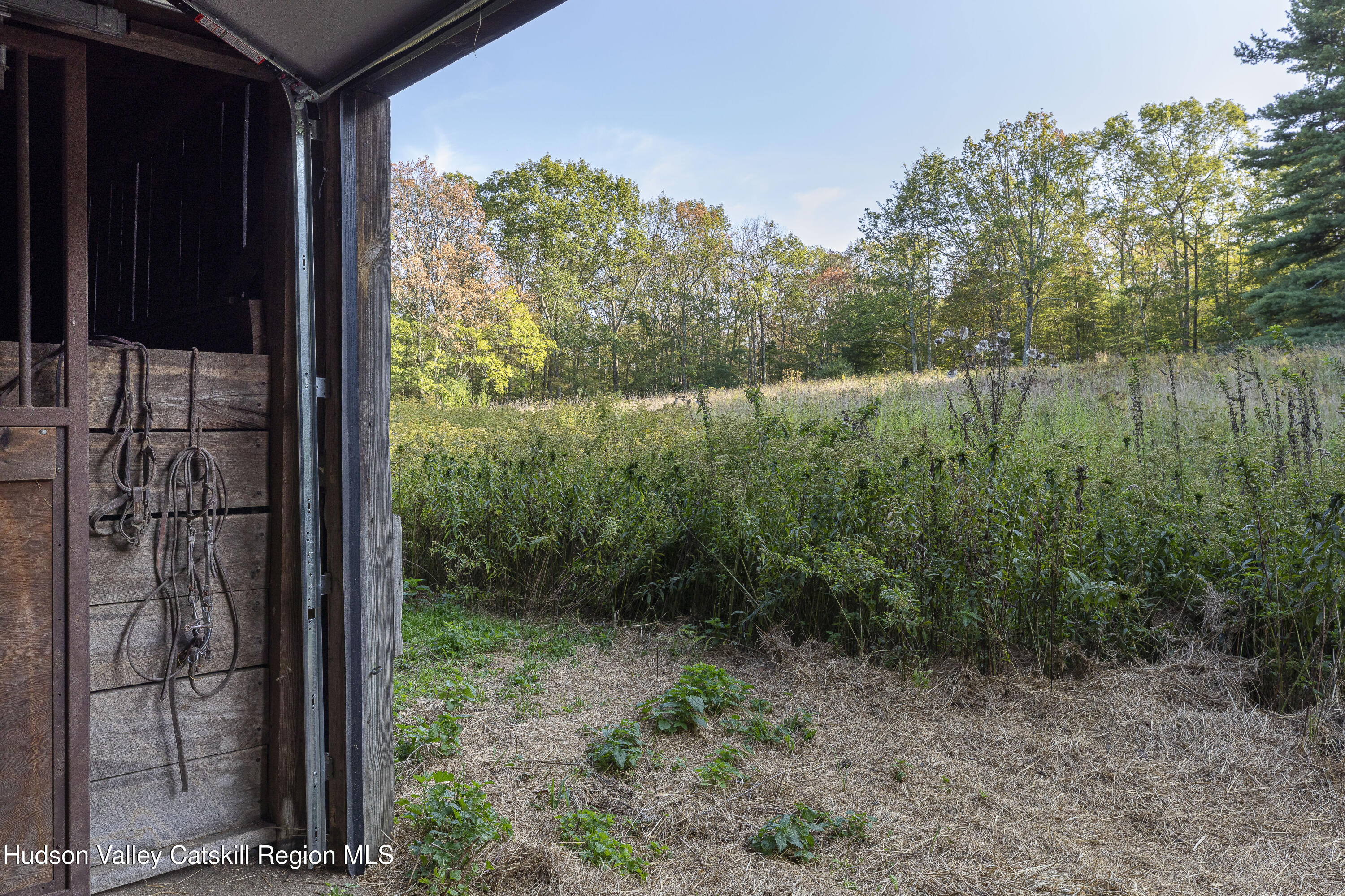119 Mt Laurel Road Kerhonkson, NY 12446 - Photo 36 of 37 a view of a yard from a balcony