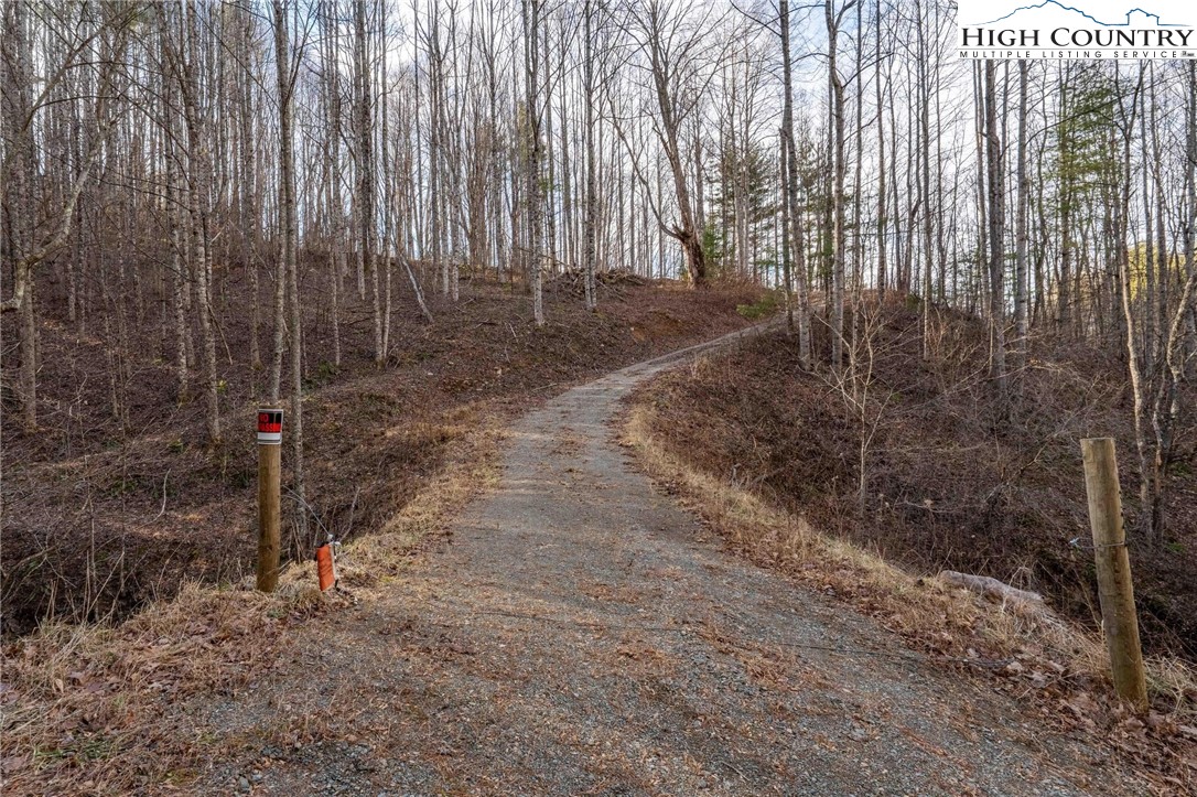 324 Allen Snyder Road Trade, TN 37691 - Photo 35 of 37 a view of a backyard with wooden fence