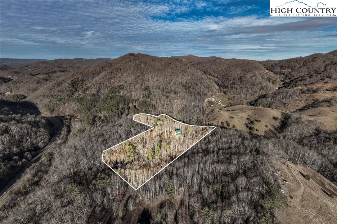 324 Allen Snyder Road Trade, TN 37691 - Photo 4 of 37 a view of a forest with a mountain