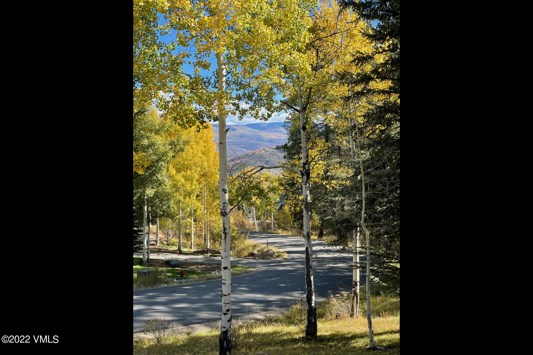 400 Red Draw Edwards, CO 81632 - Photo 48 of 49 a view of water pond with plants and large trees
