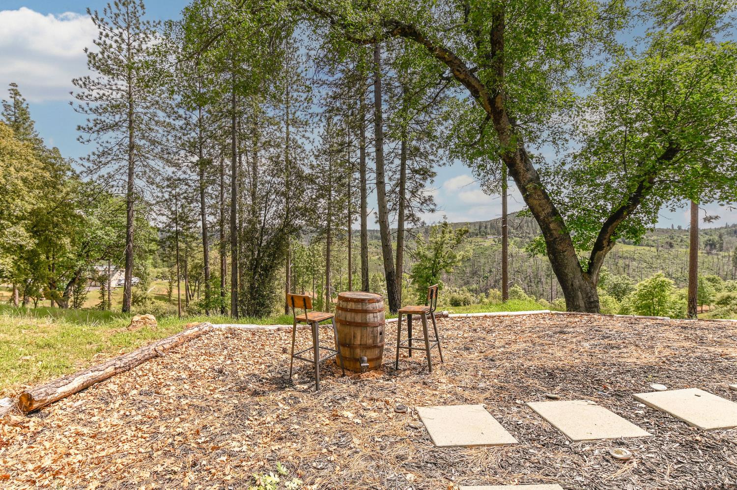 5695 Old Emigrant Trail Mountain Ranch, CA 95246 - Photo 48 of 79