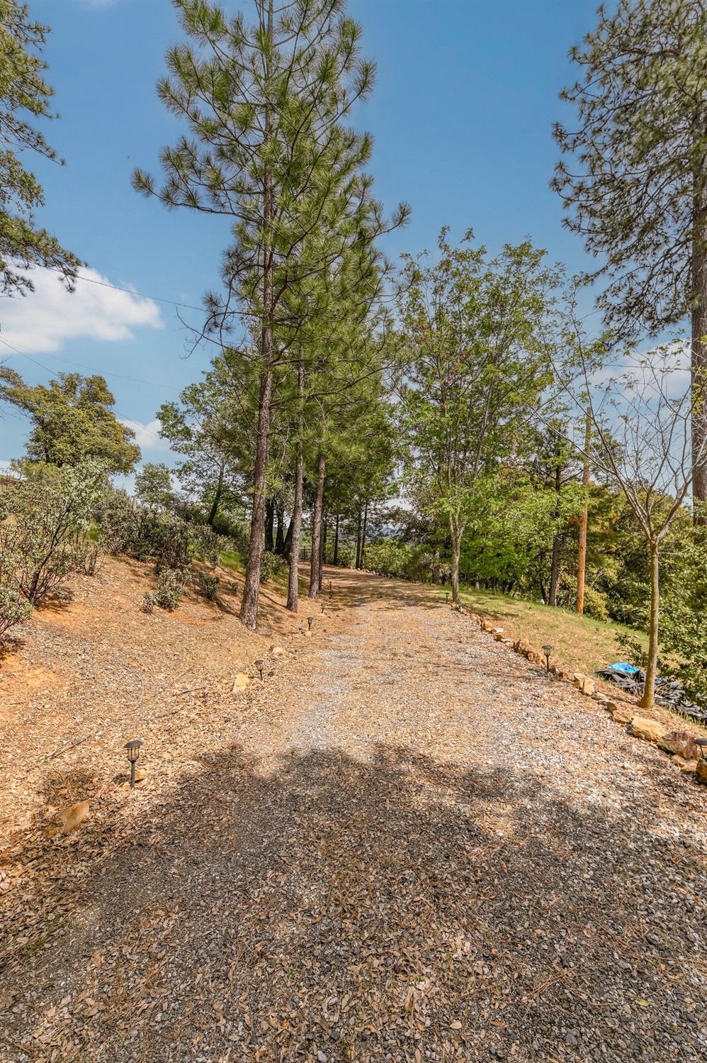 5695 Old Emigrant Trail Mountain Ranch, CA 95246 - Photo 60 of 79
