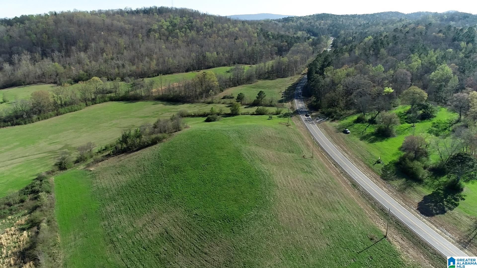 6405 Highway 174, Unit TRACT 2 Springville, AL 35146 - Photo 9 of 14
