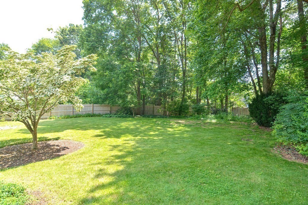 110 Richard Road Holliston, MA 01746 - Photo 6 of 41 a view of a yard with a tree