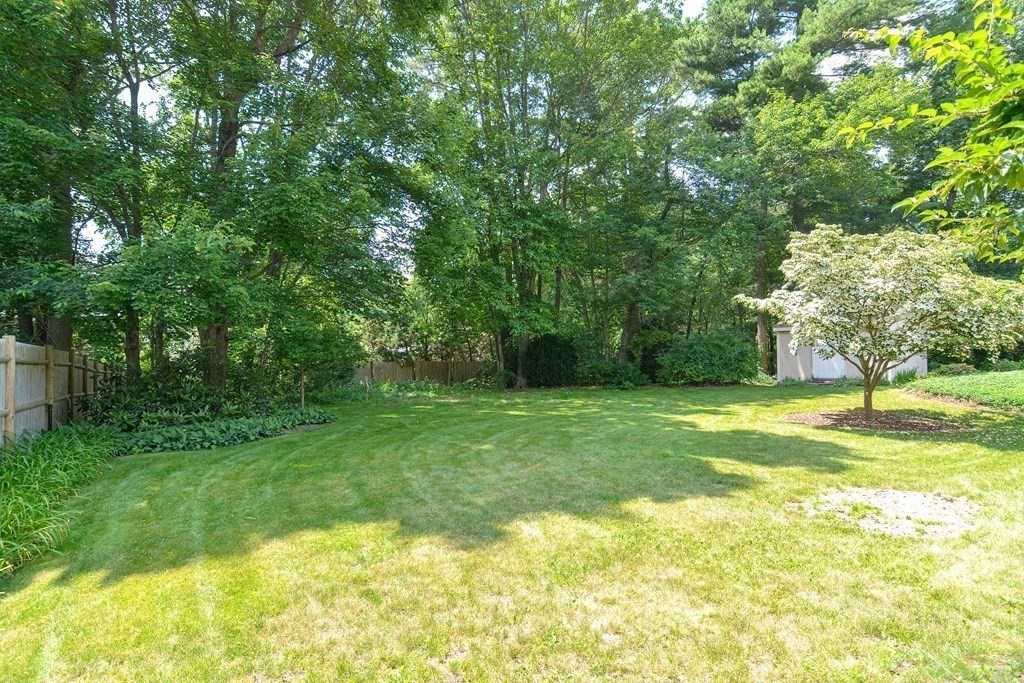 110 Richard Road Holliston, MA 01746 - Photo 7 of 41 a view of a yard with a tree