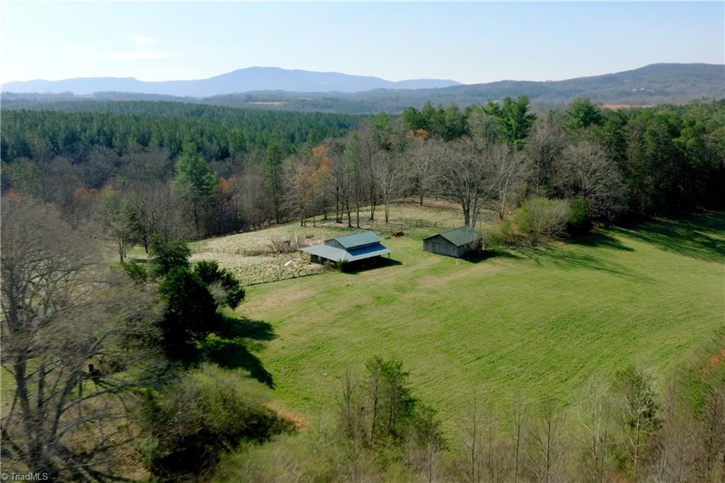 1019 George Road Westfield, NC 27053 - Photo 9 of 28