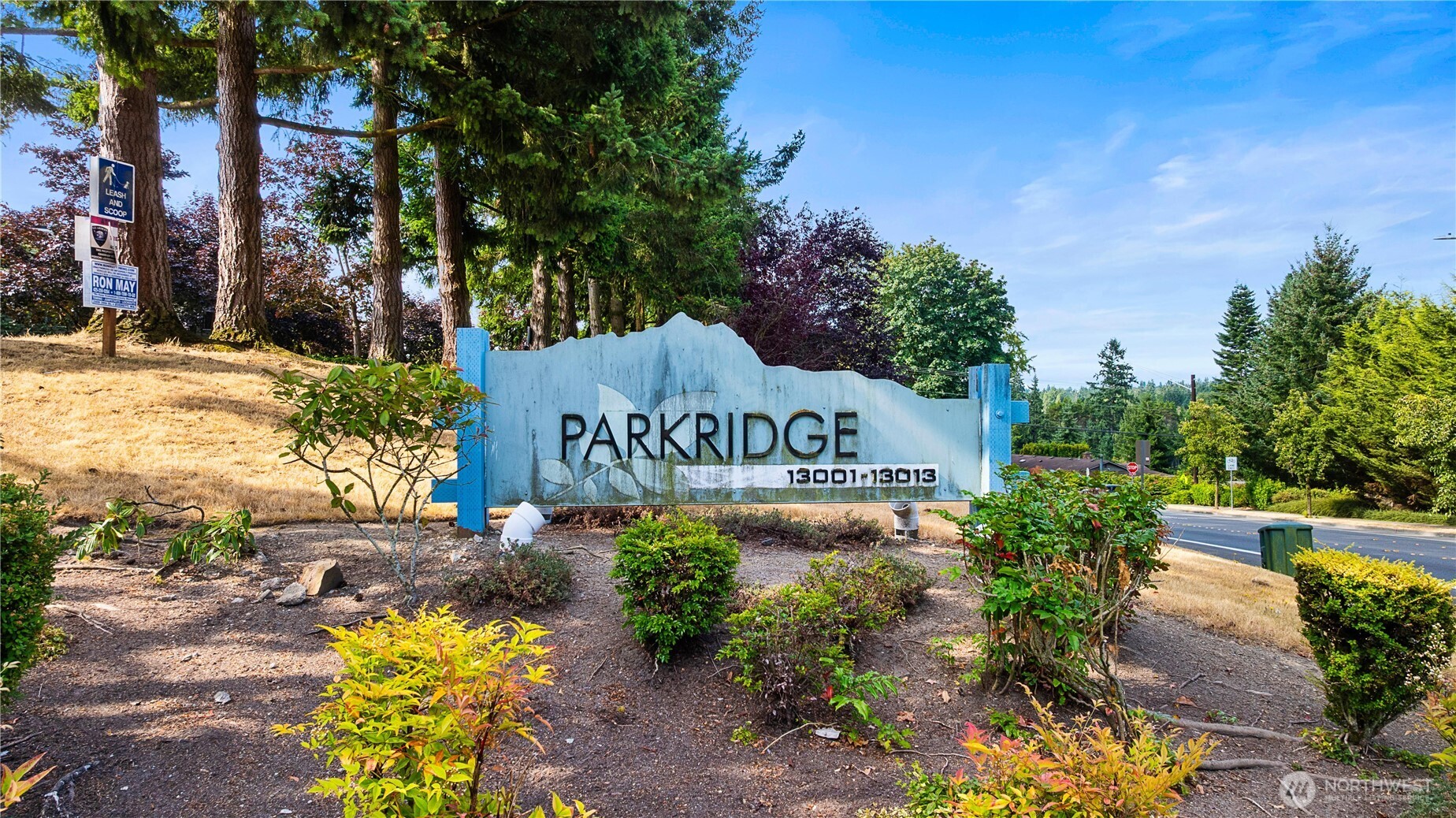 a view of a park with a tree