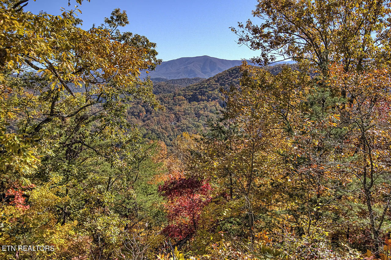 4903 Long Rifle Road Walland, TN 37886 - Photo 13 of 28 IMG_9196LR