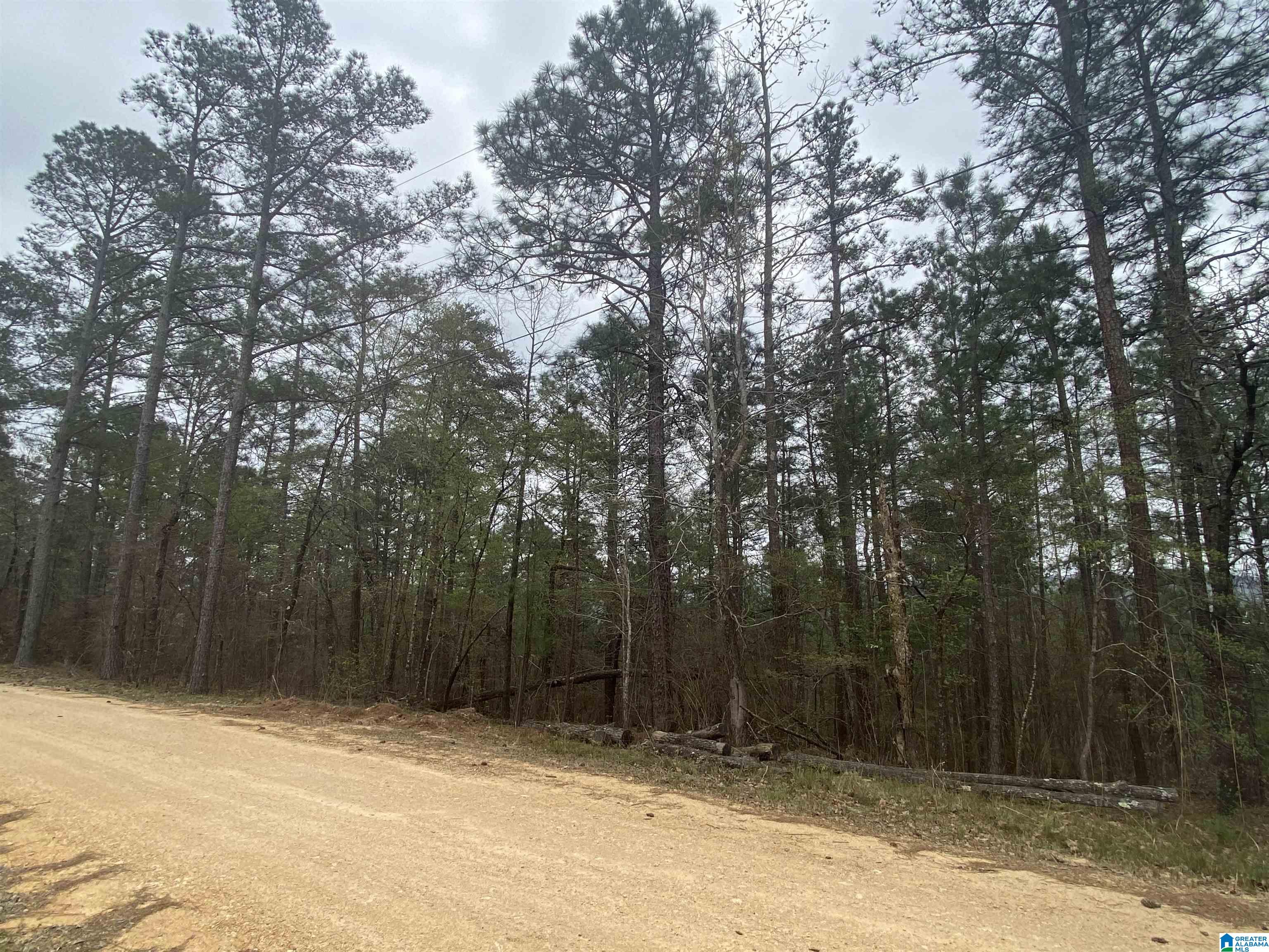 Parcel 2 Sandridge Road, Unit PARCEL 2 Leeds, AL 35094 - Photo 1 of 5