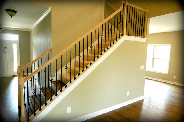 8013 Ragusa Circle Spring Hill, TN 37174 - Photo 4 of 18 Gallery Image 4