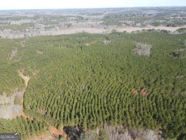 $6,830,400 | 0 Rocky Creek Road, Hampton, GA 30228