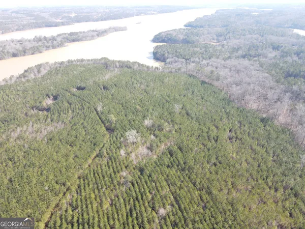 $6,830,400 | 0 Rocky Creek Road, Hampton, GA 30228
