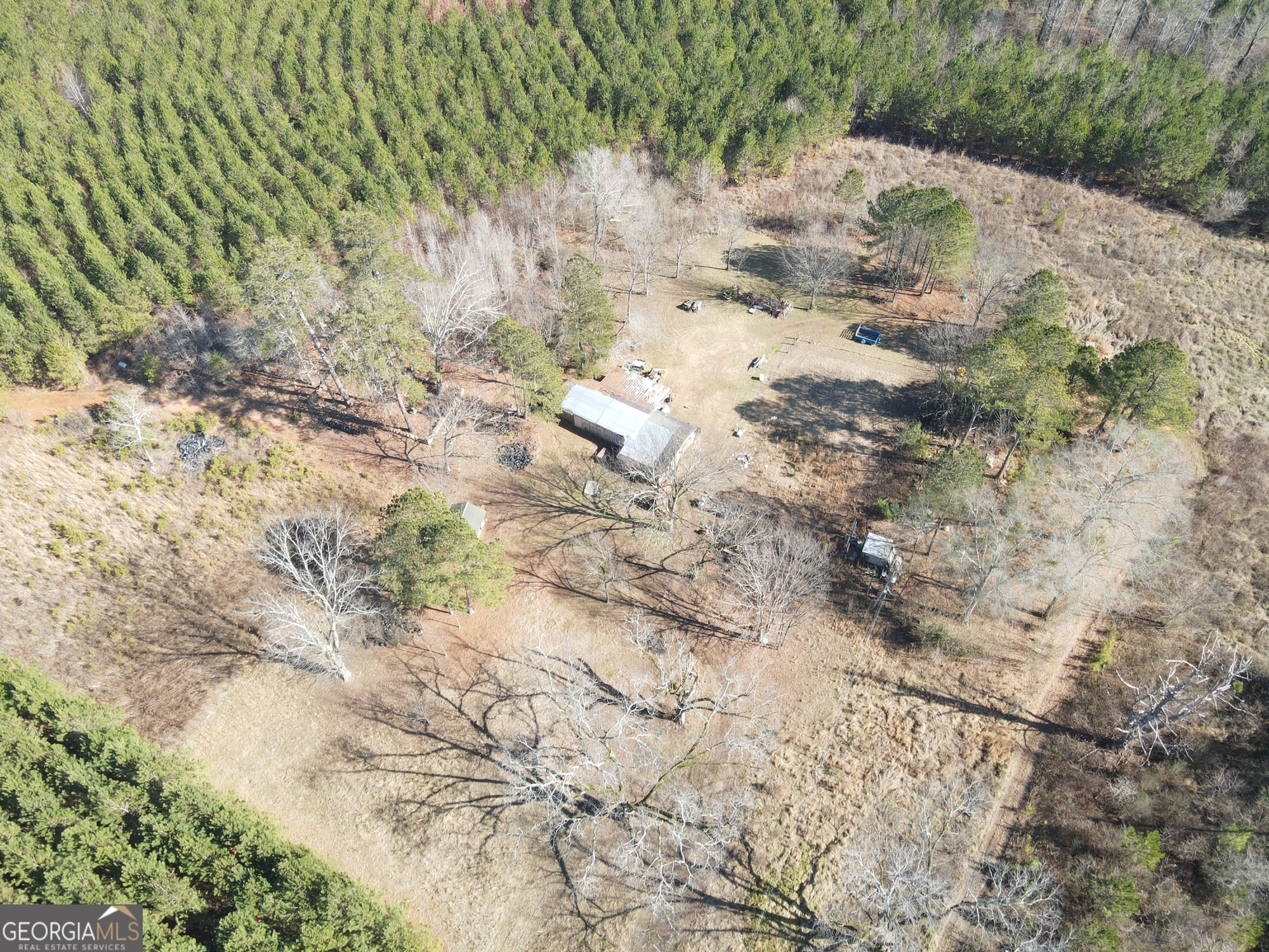 0 Rocky Creek Road Hampton, GA 30228 - Photo 13 of 18 a view of a dry yard with trees